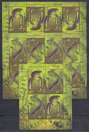 СВ  Беларусь- Россия. Фауна. Тритоны. Беларусь 2012 год.