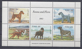 Собаки.1983 год Ирландия.