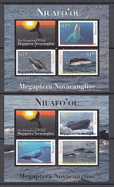 Морская фауна. Киты.  НИУАФО ОУ Тонга 2011 год. 
