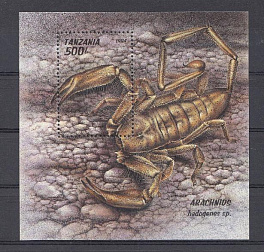 Паукообразные. Танзания 1994 год. 