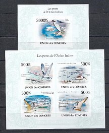 Птицы. Коморские острова 2010 год. Птицы Индийского океана.