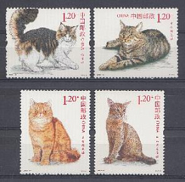 Кошки. Китай 2013 год. Различные породы кошек.
