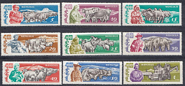 Сельское хозяйство Монголии. Монголия 1961 год.