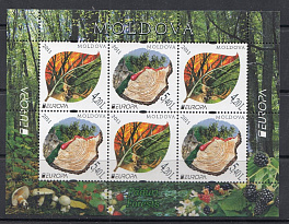 Природа. Сохраним лес. Европа.  Молдова 2011 год.