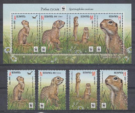 Фауна. Беларусь 2015 год. Суслики.