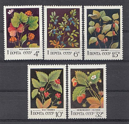 5205- 5209 СССР 1982 год. Флора. Дикорастущие ягоды.