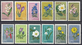 Флора. Цветы. Польша 1962 год.