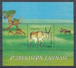 Фауна. Азербайджан 2014 год. Сайгак.