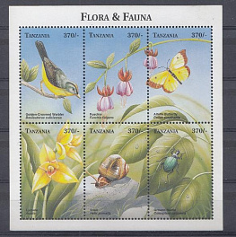 Флора и Фауна. Танзания. Цветы. Бабочки. Жук и улитка.