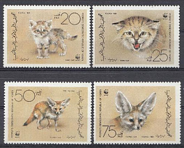 Кошки и лисы. Йемен 1989 год.
