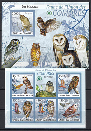 Птицы. Совы.. Коморские острова 2009 год. 
