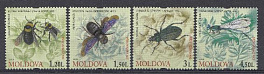 Насекомые. Молдова 2009 год.