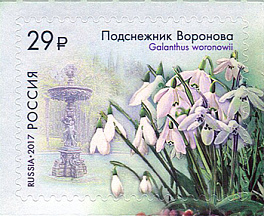 2208-2211. Флора России. К 125-летию Сочинского парка «Дендрарий»