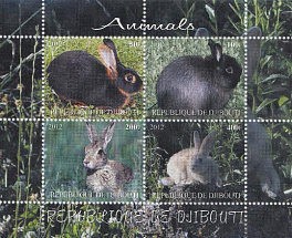 Фауна. Республика Джибути 2012 год. Зайцы.