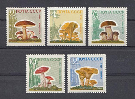 3036А- 3040А  С лакированным покрытием СССР 1964 год. Грибы.