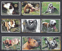 Собаки. Киргизия 2004 год.