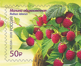 2585-2588. Россия  2020 год. Флора России. Ягоды 
