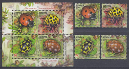 Насекомые. Беларусь 2015 год. Виды насекомых: Божьи коровки. 