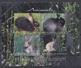 Фауна. Зайцы. Республика Джибути 2012 год.