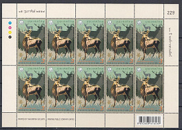 Фауна. Таиланд 2014 год. Олень.