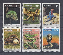 Змеи, хамелион. 1996 год. Заир.