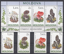 Флора. Грибы. Молдова 2010 год.
