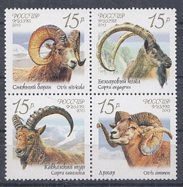 1667-1670. Россия 2013 год. Фауна России. Дикие козлы бараны. Снежный баран. Безоаровый козёл. Кавказский тур. Архар.