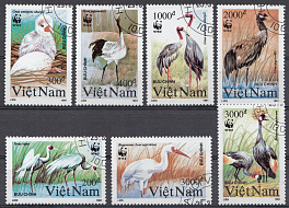 Птицы. Аисты. Вьетнам 1991 год. 