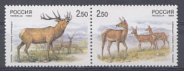502- 503 Россия 1999 год. Фауна. Олени. Совместный выпуск  Р.Ф.  и КНР Китай. Изюбрь.
