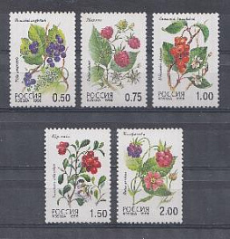  447-451. Россия 1998 год. Флора. Лесные ягоды. 