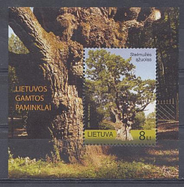 Природа. Литва 2010 год. 