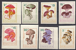 Флора. Грибы. Болгария 1961 год. Б/З 