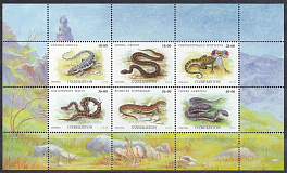 Рептилии. Змеи. Ящерицы. Узбекистан 1999 год.