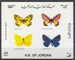 Бабочки. Иордания 1993 год.