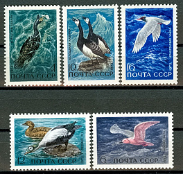 4024-4028. СССР 1972 год. Пернатые - обитатели побережий морей и океанов