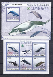 Морская фауна. Союз Коморских Островов 2009 год. Киты.