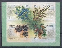 1682-1685. Россия 2013 год. Флора России. Шишки хвойных деревьев и кустарников.