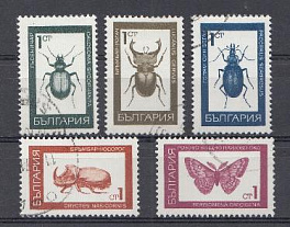 Жуки. Болгария 1968 год.