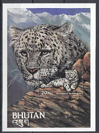 Снежный барс. Бутан. Белый леопард.