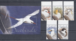 Птицы. Норфолк о-ва. Чайки.