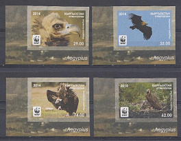 Птицы. Кыргыстан 2014 год. Б/З. Хищные птицы.