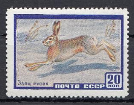 2318  СССР 1960 год. Фауна СССР. Заяц- русак.