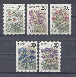  216-220.  Россия 1995 год. Флора. Полевые цветы России.