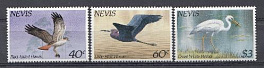 Птицы. Невис 1985 год. 