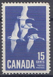 Птицы в полёте. Канада 1963 год.