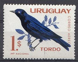 Птицы. Уругвай. 