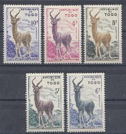 Фауна. Республика Того. Буффон.