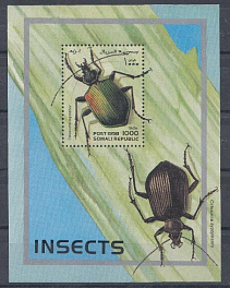 Жуки. Республика Сомали 1998 год.