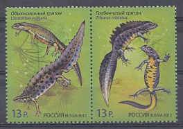 1599-1600. Россия 2012 год. Фауна. Тритоны. Совместный выпуск : Р.Ф. -Республика Беларусь. 