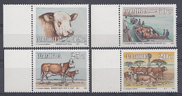 Фауна. Намибия 1993 год. Домашний скот.